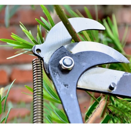 Tree Trimming Tools